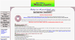 Desktop Screenshot of mutevazilezzetler.com